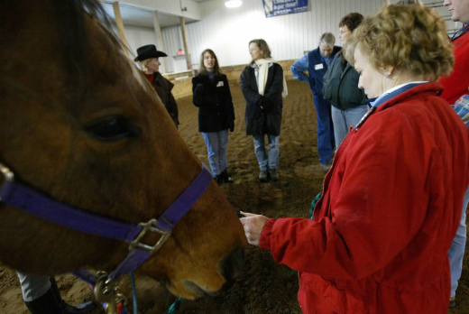 Circle Holding Horse