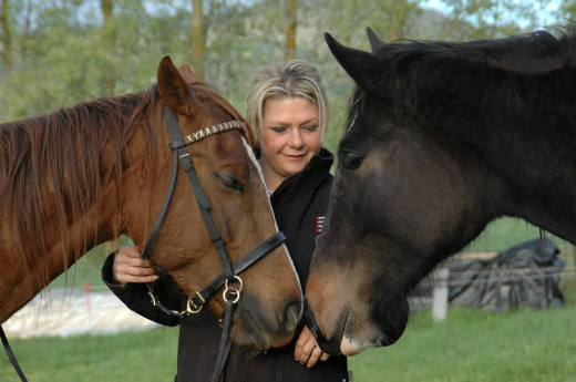 Emily and 2 horses