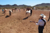 Janice Sings Dance With the Horses